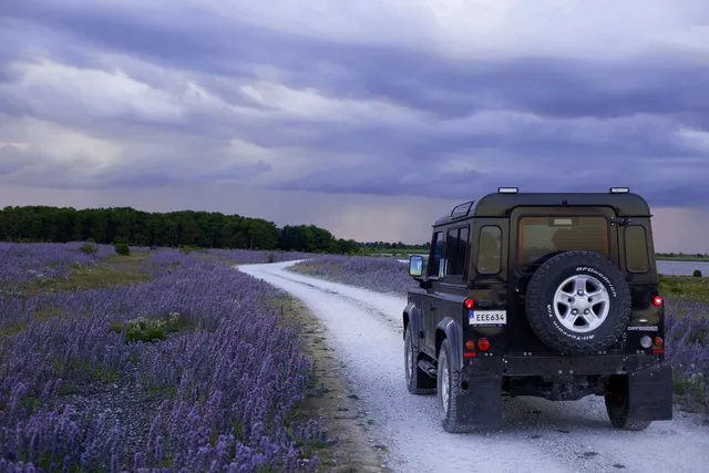 New 2022 Jeep Renegade Sport Sport Utility
